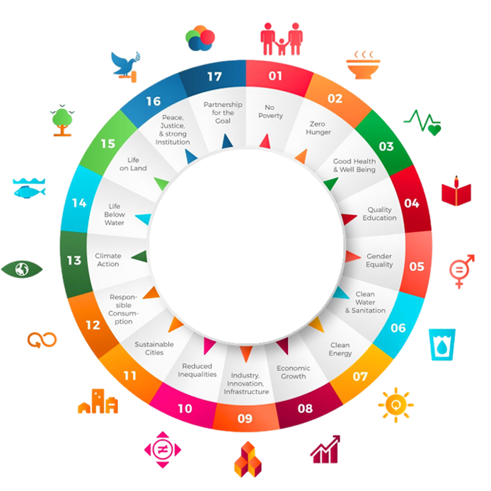 SDG Wheel