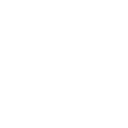 digilocker