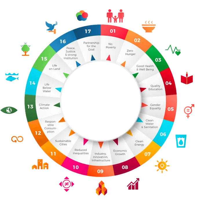 SDG Wheel