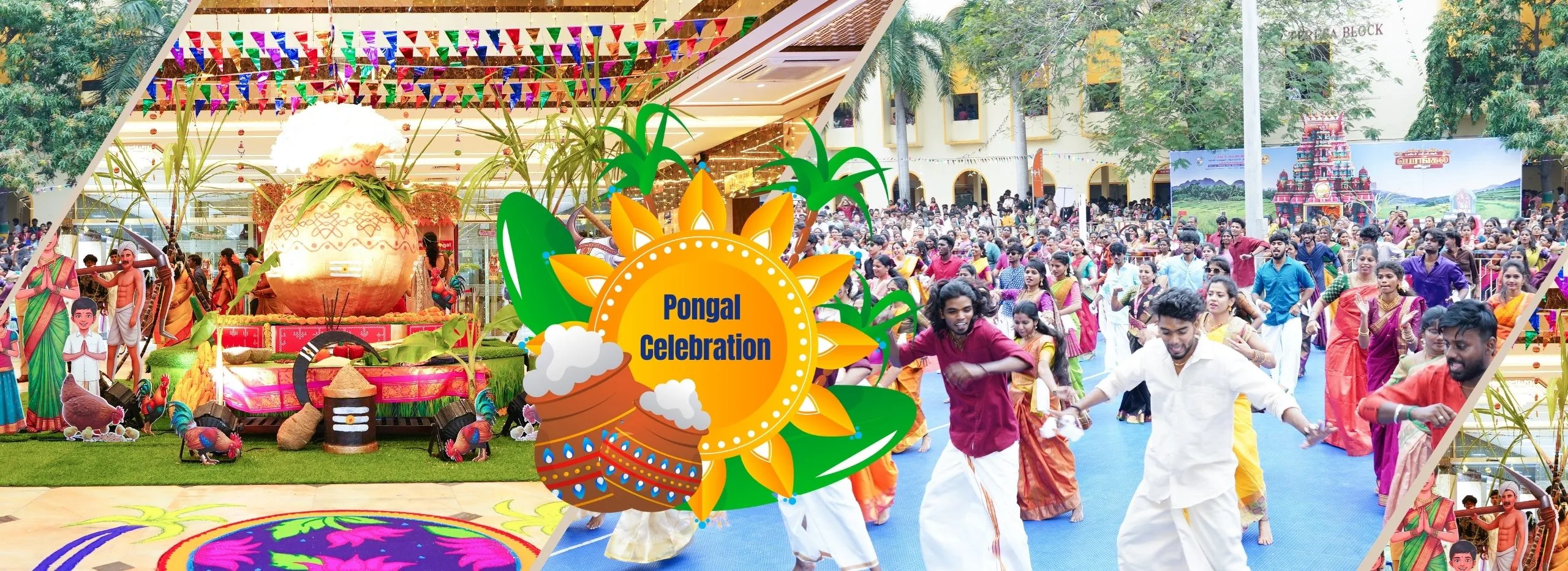 Pongal Celebrations