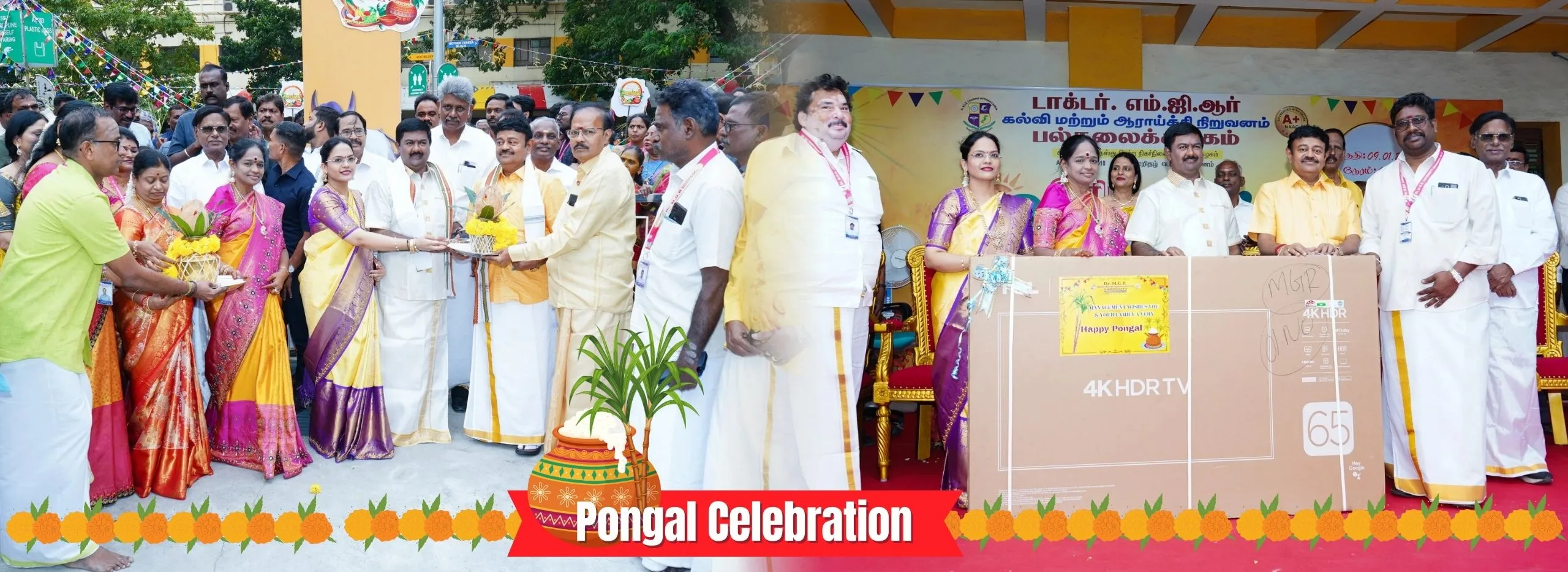 Pongal Celebrations