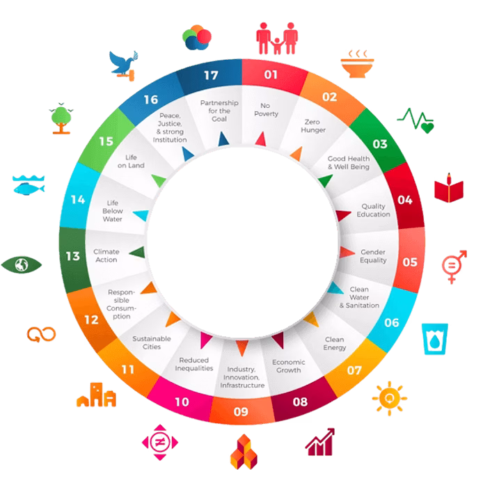SDG Wheel